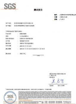 延伸率检测报告中文版